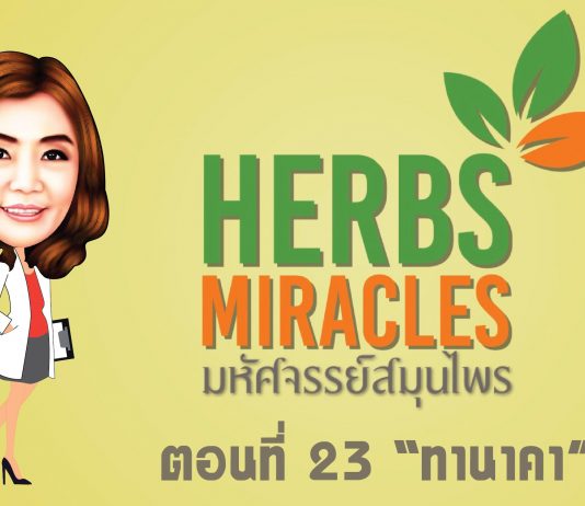 มหัศจรรย์สมุนไพร 2 ตอนที่23 “ทานาคา”