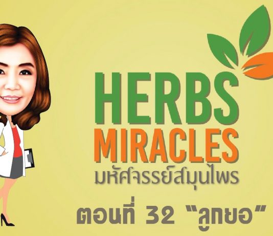 มหัศจรรย์สมุนไพร 2 ตอนที่32 “ยอ”