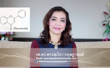 มหัศจรรย์สมุนไพร ตอน 85 มะเม่า