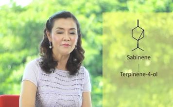 มหัศจรรย์สมุนไพร ตอน 57 ไพล