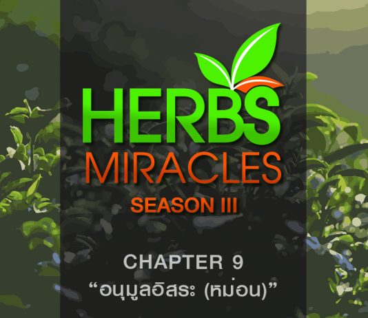 มหัศจรรย์สมุนไพร 3 ตอนที่ 9 “หม่อน” กับ “อนุมูลอิสระ”