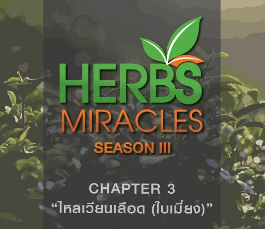 มหัศจรรย์สมุนไพร3 ตอนที่ 3 ” ใบเมี่ยง ” กับ ” ไหลเวียนเลือด “