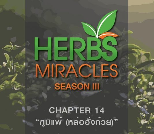 มหัศจรรย์สมุนไพร3 ตอนที่ 14 “หล่อฮั่งก้วย” กับ “ภูมิแพ้”