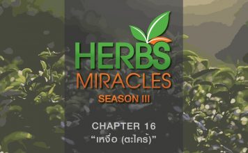 มหัศจรรย์สมุนไพร3 ตอนที่ 16 “ตะไคร้” กับ “เหงื่อ”