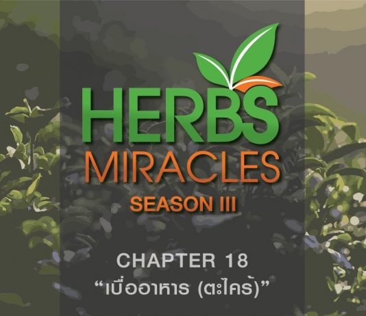 มหัศจรรย์สมุนไพร3 ตอนที่ 17 “ตะไคร้” กับ “อนุมูลอิสระ”