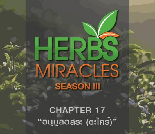 มหัศจรรย์สมุนไพร3 ตอนที่ 18 “ตะไคร้” กับ “เบื่ออาหาร”