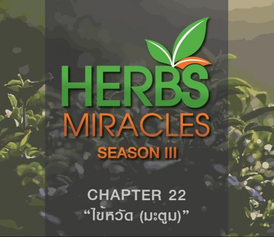 มหัศจรรย์สมุนไพร3 ตอนที่ 22 “มะตูม” กับ “ไข้หวัด”