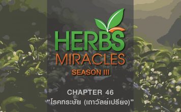 มหัศจรรย์สมุนไพร3 ตอนที่ 46 “เถาวัลย์เปรียง” กับ “โรคกระษัย”