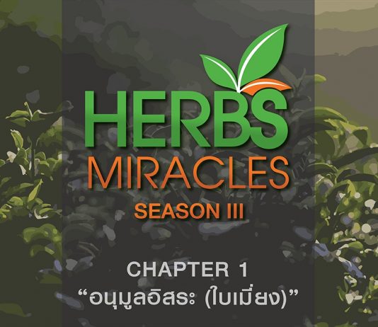มหัศจรรย์สมุนไพร3 ตอนที่ 1 “ใบเมี่ยง” กับ “อนุมูลอิสระ”